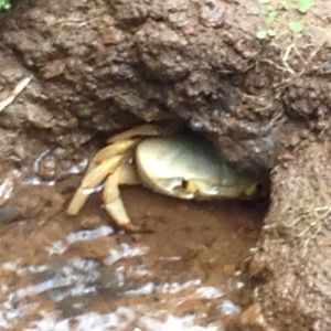 Meet your Posher, Abhishek